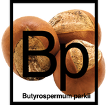 Webecos Beauty of the Sea Hyal-Vital-A-fluid 30 ml (uitlopend artikel)