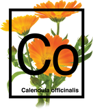 Webecos Rever-Essence-1 cream 50 ml