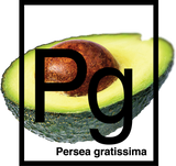 Webecos Rever-Essence-1 cream 50 ml