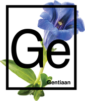 Webecos Gentian lotion 250 ml