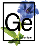Webecos Gentian lotion 250 ml