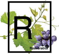 Webecos Reviving Detox & Repair Moisturizer 50 ml